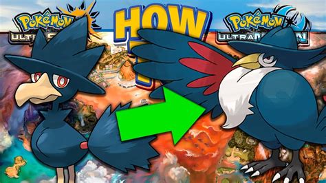 how to evolve murkrow.